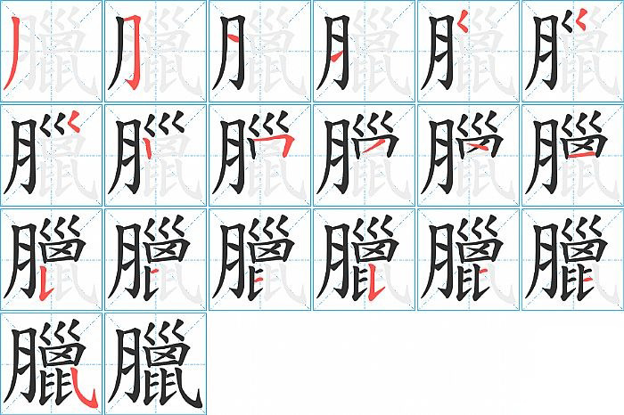 臘的笔顺分步演示图