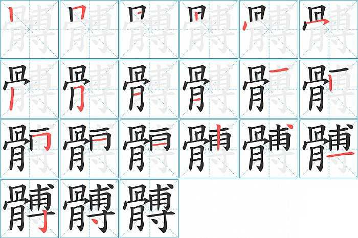髆的笔顺分步演示图