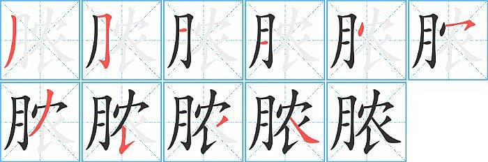 脓的笔顺分步演示图
